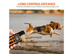Dog Training Collar Rechargeable - The Shopsite