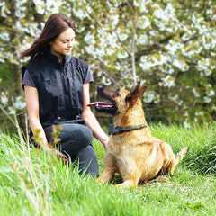 Rechargeable Anti Barking Training Collar - The Shopsite