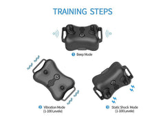 Rechargeable Electric Pet Dog Training Collar for 2 Dogs - The Shopsite