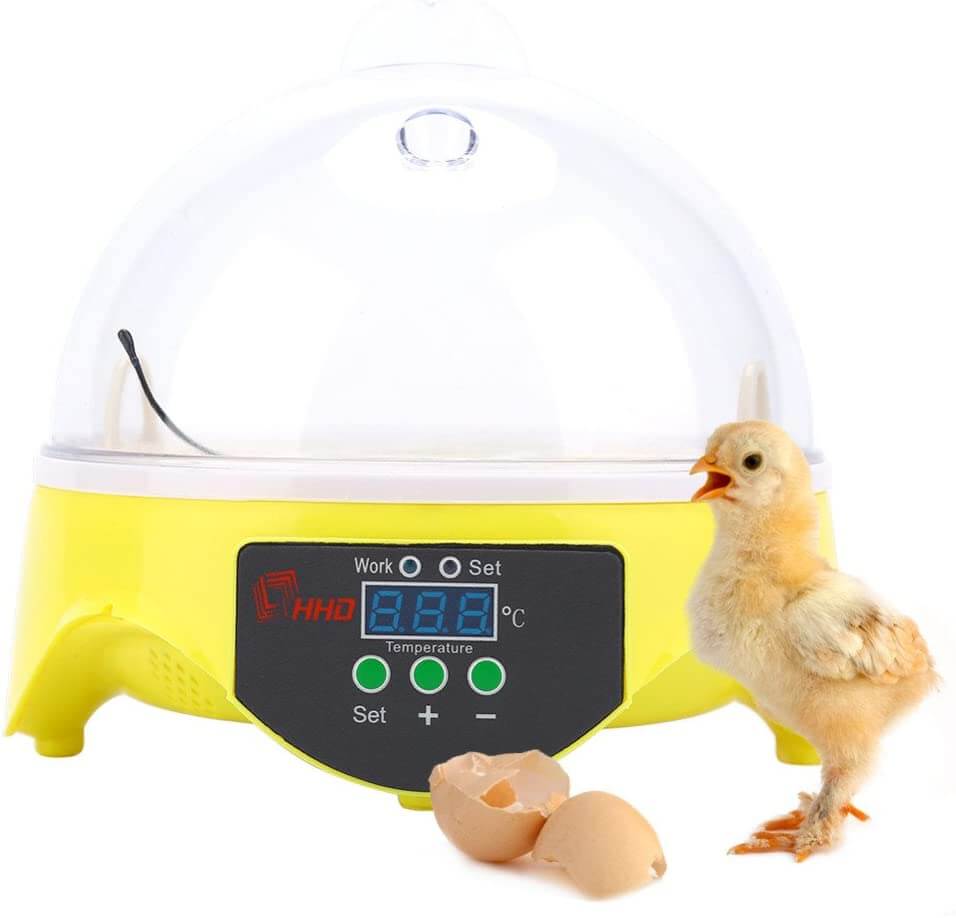 Egg Incubator 7 eggs - The Shopsite
