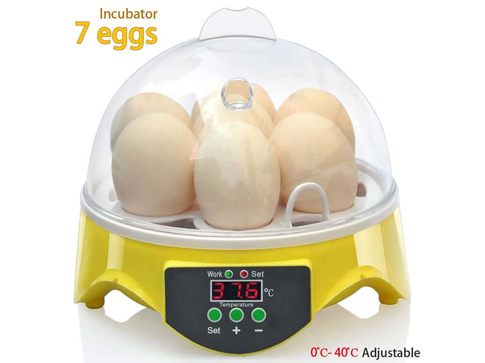 Egg Incubator 7 eggs - The Shopsite