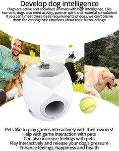 Creative Dog Pet Toys Tennis - The Shopsite