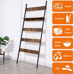 Ladder Storage Shelf