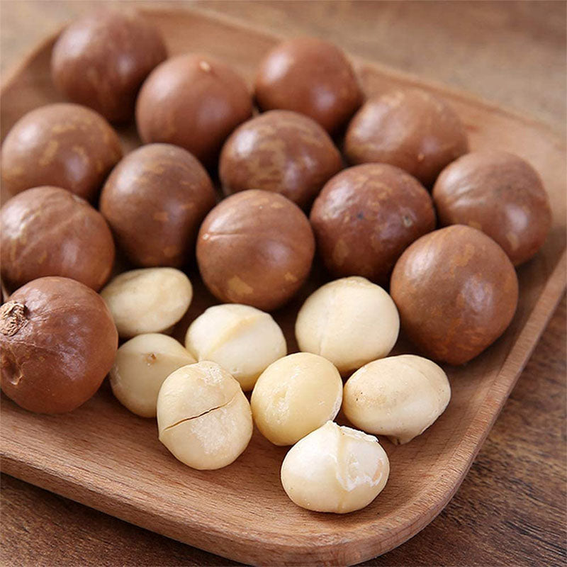 Nut Cracker Macadamia Opener - The Shopsite