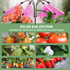 LED Grow Light with Timer For Plants - The Shopsite