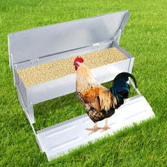 Automatic Chicken Feeder 5KG - The Shopsite