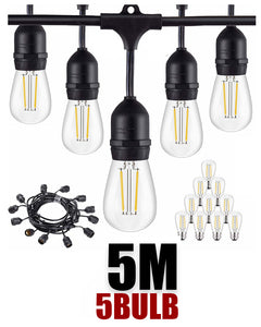 Festoon Light String Lights 5M-5 bulbs