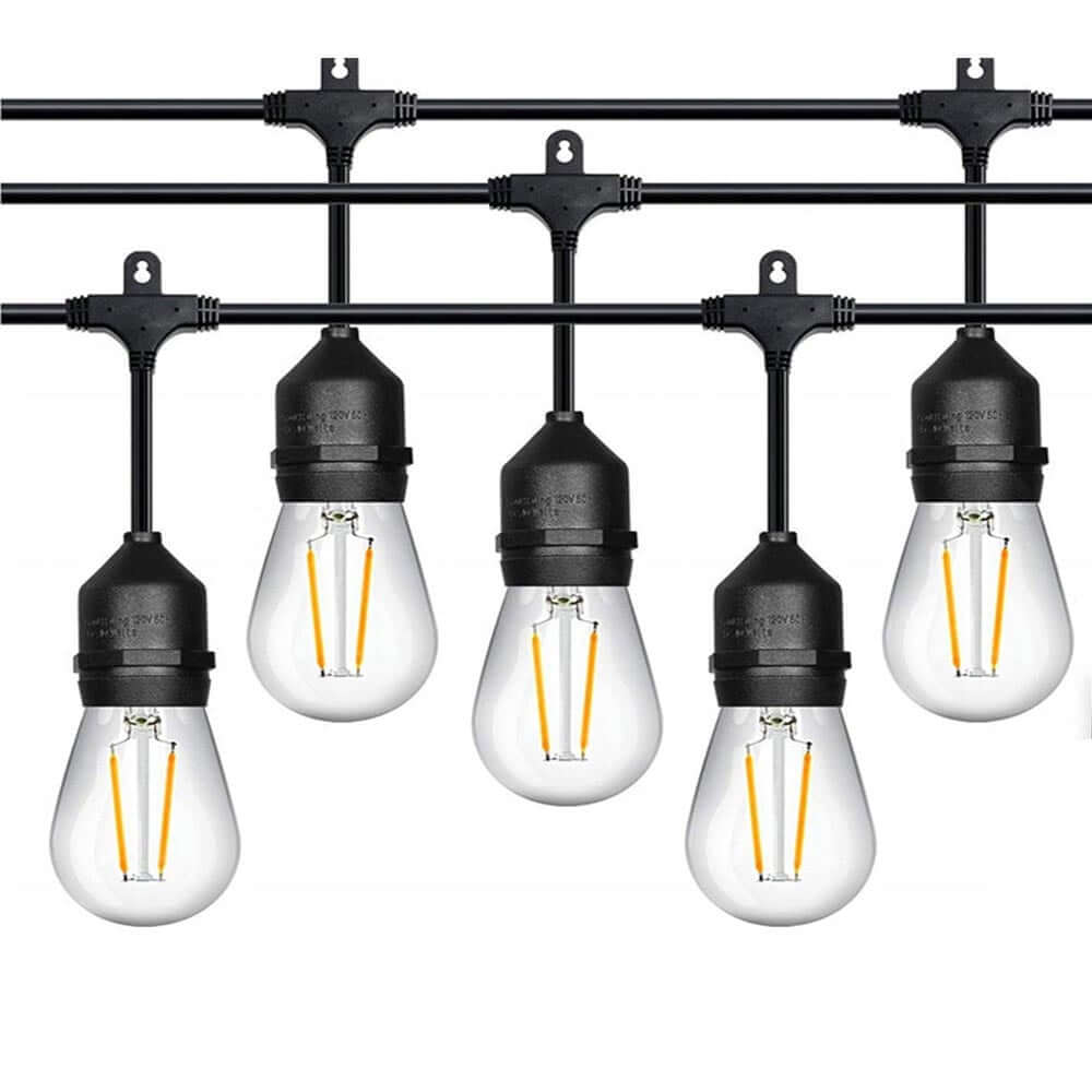 Festoon Light String Lights 5M-5 bulbs - The Shopsite