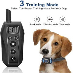 Dog Training Collar - The Shopsite