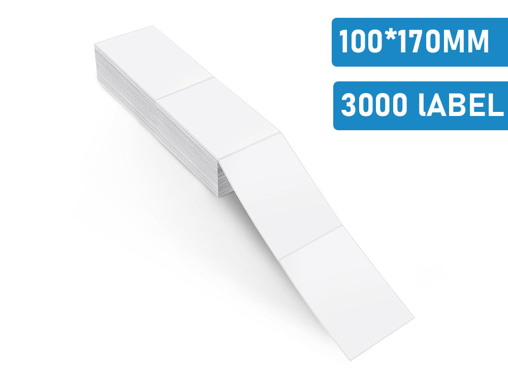 Premium Quality 100 X 170 mm Thermal Direct Labels for High-Speed Printing - The Shopsite