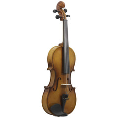 Full-size 4/4 Violin with Carrying Case Nature - The Shopsite